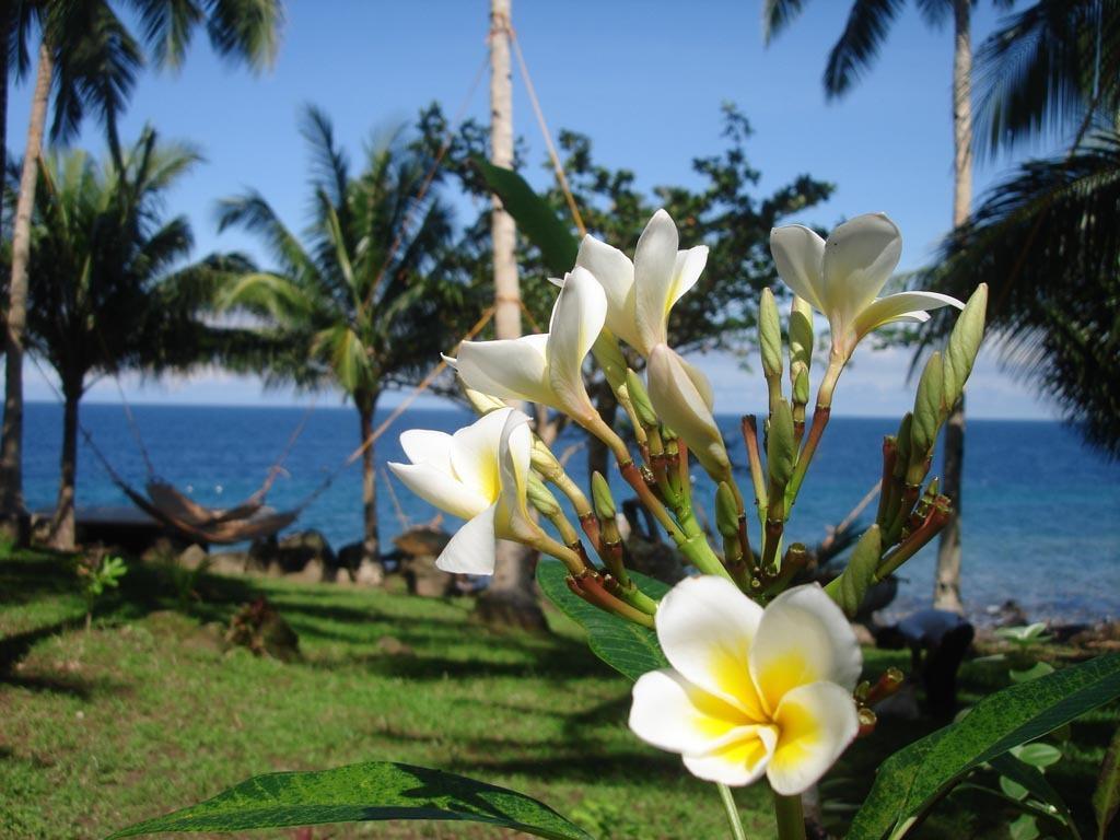 Camiguin Volcan Beach Eco Retreat & Dive Resort Mambajao Bagian luar foto
