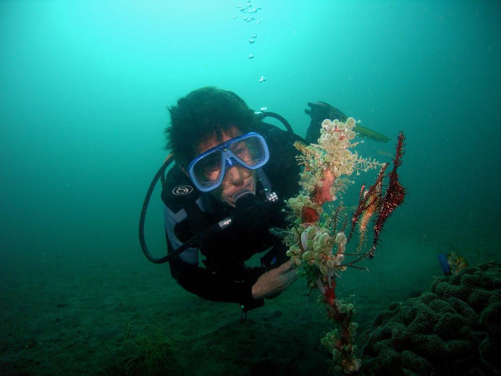 Camiguin Volcan Beach Eco Retreat & Dive Resort Mambajao Bagian luar foto
