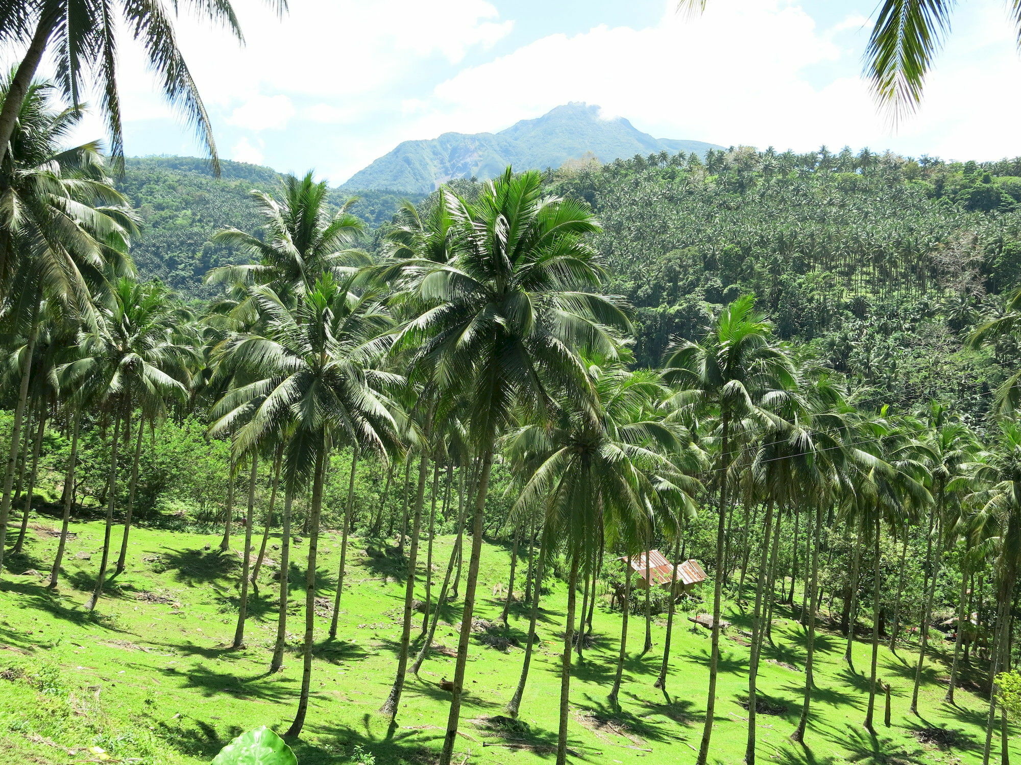 Camiguin Volcan Beach Eco Retreat & Dive Resort Mambajao Bagian luar foto